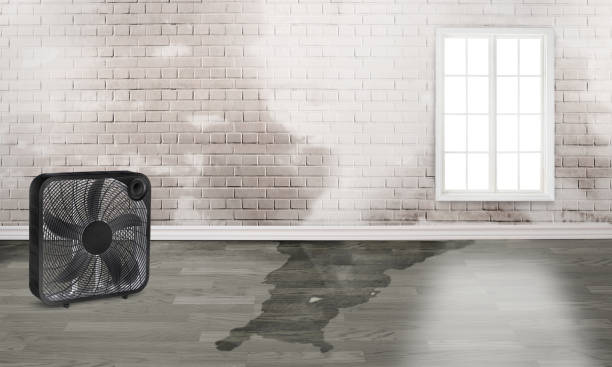 Water damage restoration experts in Round Rock, TX